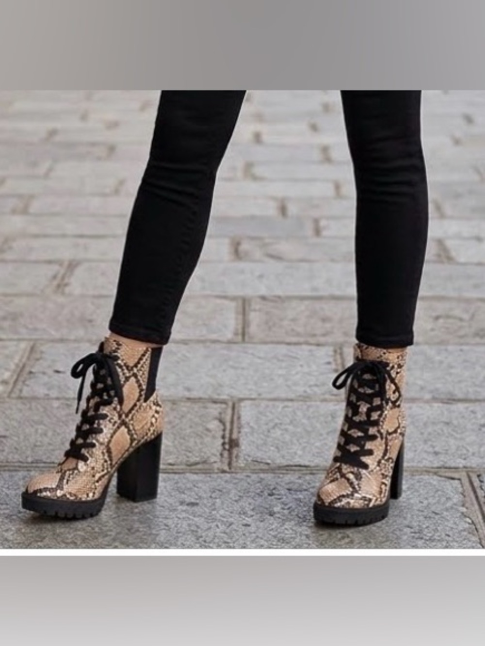 NWT STEVE MADDEN Latch Snake Lace-up Ankle Boot Block Heel Platform 6.5 MSRP$219